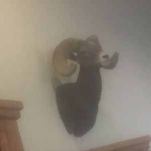 Meet your Posher, Colton